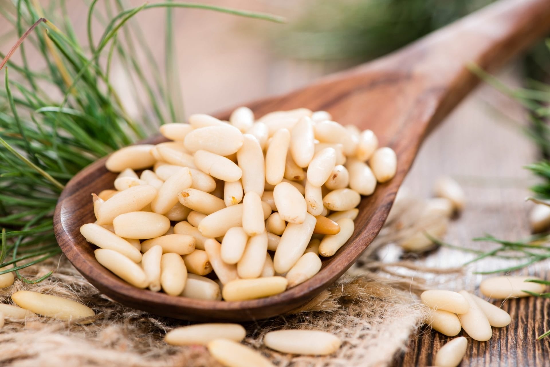 Pine Nuts (Pouch)