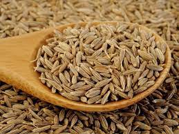 Cummin Seed