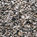 Sunflower Seeds Pouch