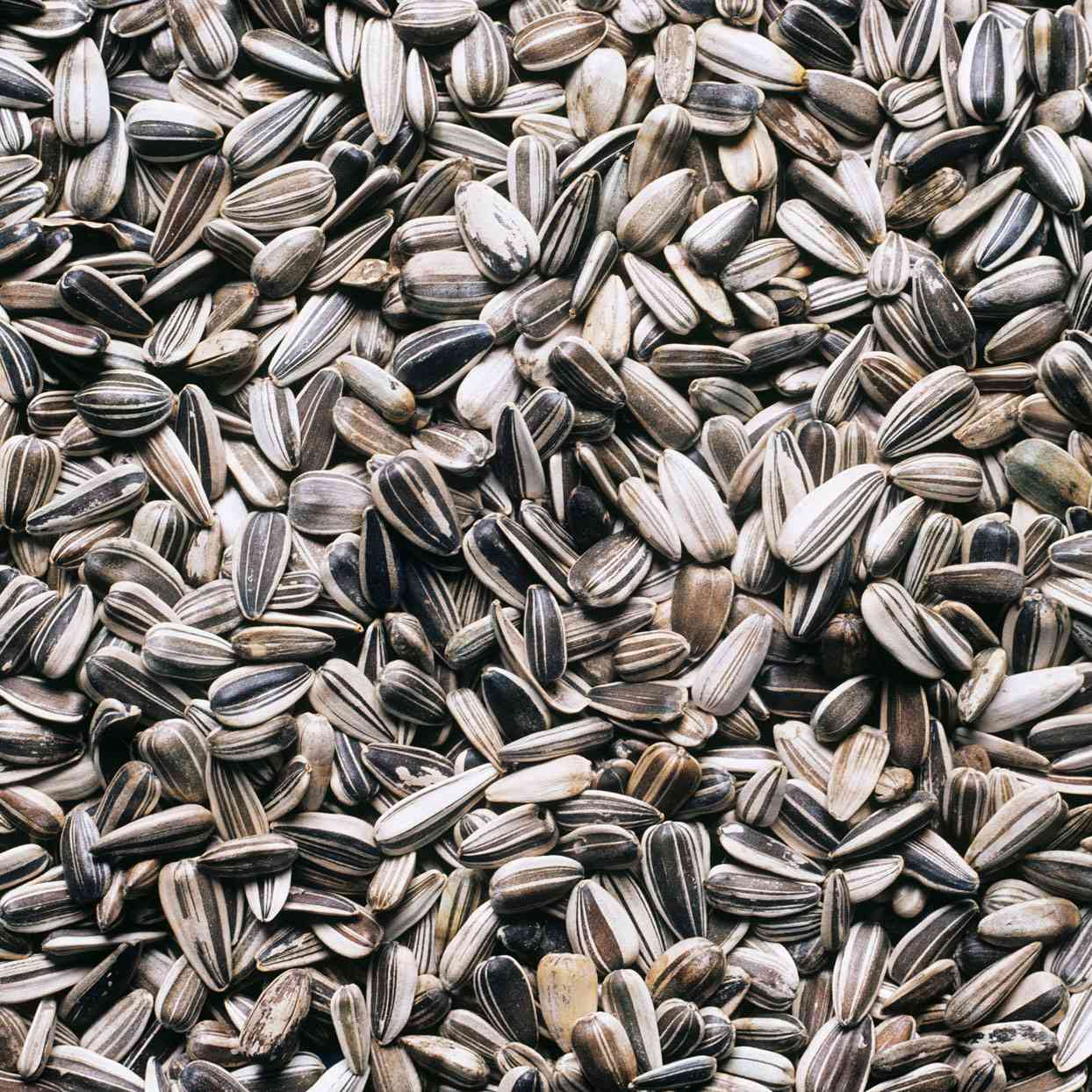 Sunflower Seeds Pouch